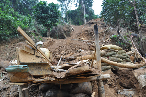 Rừng tan hoang, dân lãnh đủ độc hại