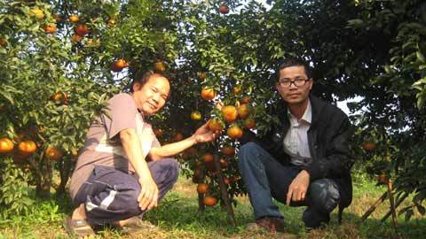 Không bằng cấp, thu nhập 5.000 USD mỗi tháng