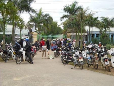 Cấm thịt heo, đổ xô đi mua thịt đà điểu
