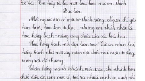 Bé lớp 4 bộc bạch chuyện yêu hoa