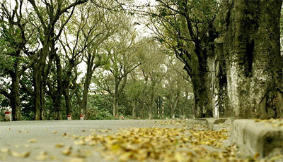 Du lịch cùng thần tượng: Tại sao không?