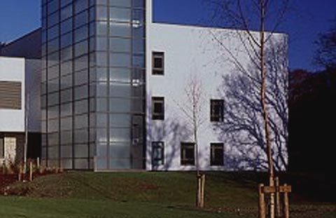 Bác sĩ qua 14 bệnh viện không biết hô hấp nhân tạo