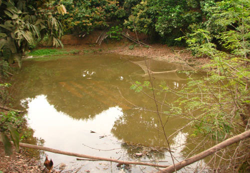 Ly kỳ chuyện săn kho vàng 3 tạ ở Bắc Giang