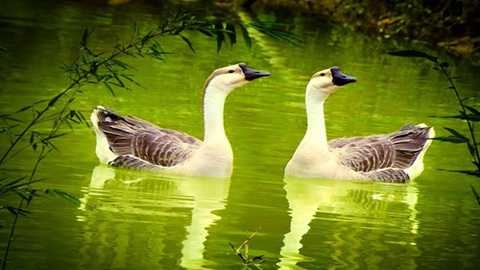 Bí quyết cưa đổ 1 chàng trai trong 7 ngày