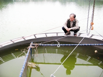 'Có người nói Hồ Gươm có 6 cụ rùa!'