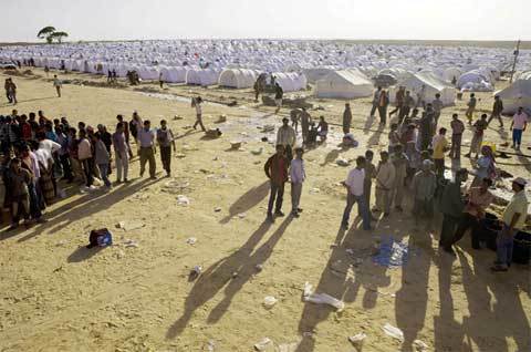 Sự thật về đội quân chiến đấu vì Gaddafi