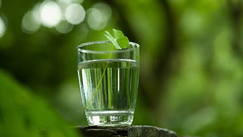 Tử vi tuần mới của bạn