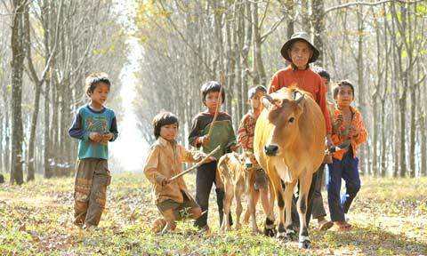Khát khao: Lựa HS giỏi nhất để thưởng...1 bữa cơm đủ chất