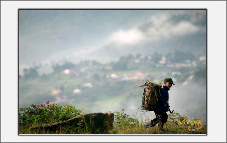 Phượt tử lãng du, tại sao không?