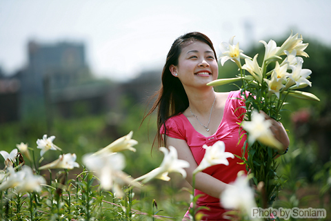 E ấp thiếu nữ loa kèn tháng 4