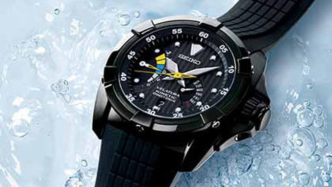 Velatura 2010 - giành chiến thắng trên đại dương