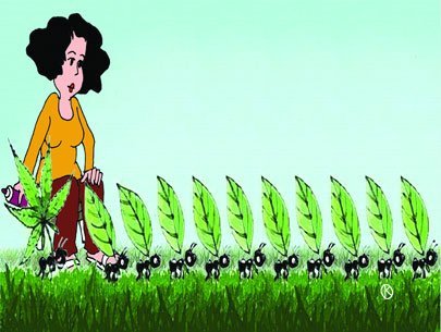 Qùa tặng từ những điều nhỏ nhặt