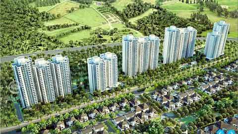 Cơ hội vàng sở hữu căn hộ Rừng cọ