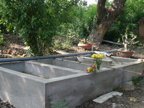 Bé tự kỷ chết thảm trong Đầm Sen