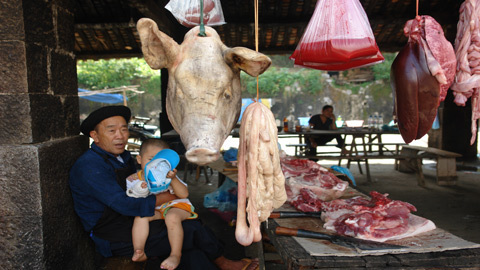 Lãng du ở thị trấn ngủ quên