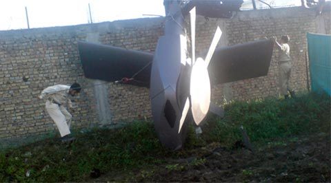 Mỹ dùng chó nghiệp vụ trong vụ giết Bin Laden