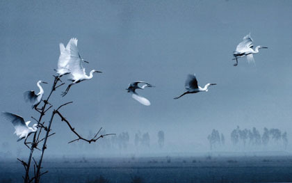 Quê hương có gì lạ không em?