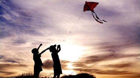 20110510101557_treem2.jpg