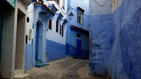 Thành phố màu xanh độc đáo