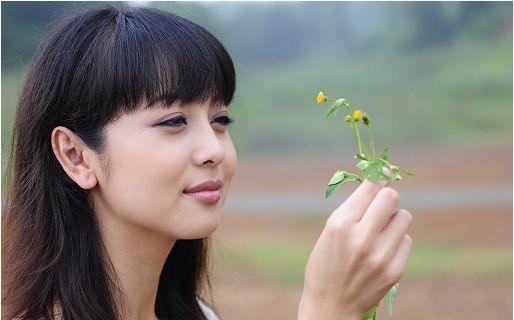 “Xin thề nói thật” về phim truyền hình