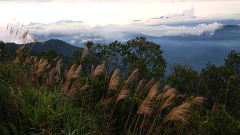 Bồng bềnh ở Bà Nà