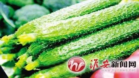 Hoang mang vì dưa chuột gây triệt sản