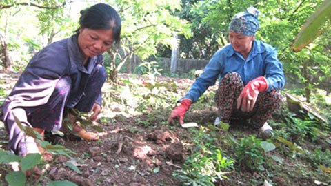 Gia đình có truyền thống “lấy vợ hai”