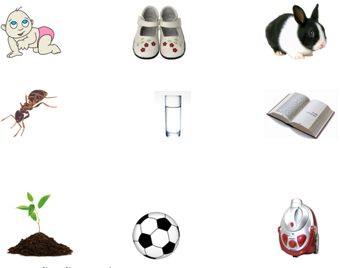 Thử kiểm tra nhận thức học sinh 6 tuổi