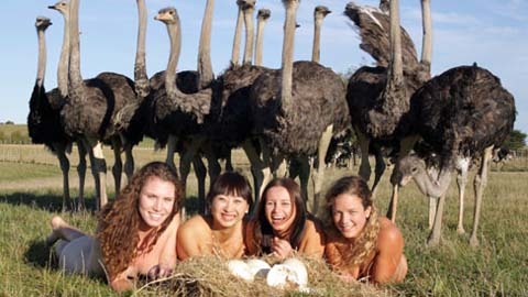 Sinh viên New Zealand nude để gây quỹ từ thiện