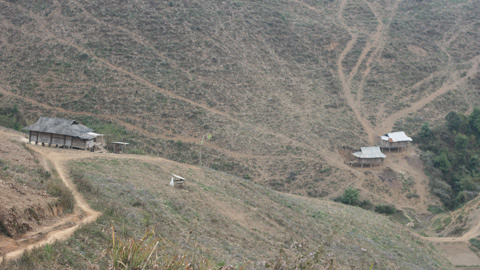 'Bất tận và hoang hoải' ở Mộc Châu