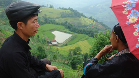 Thửa ruộng hình trái tim kỳ lạ nhất VN