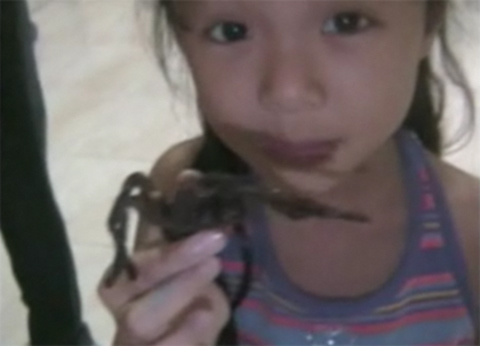 Bé gái ăn con nhện lông ngon lành