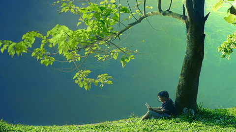 Khởi đầu tuần mới thú vị