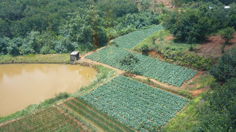 Khám phá Đà Lạt theo cách khác