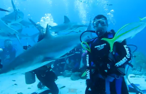 Đùa với hung thần của biển