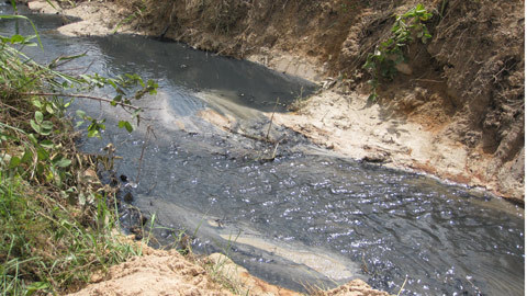 Rùng mình nước rỉ rác tràn ra môi trường