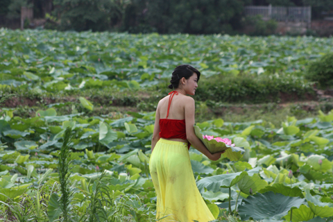 Chân dài… 'náo loạn' hồ sen