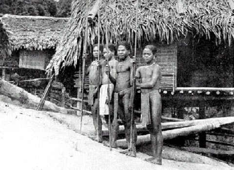 Những “chiến binh săn máu”