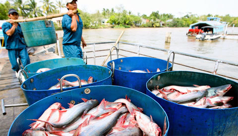 Gần 20 năm, VN vẫn loay hoay với kinh tế biển