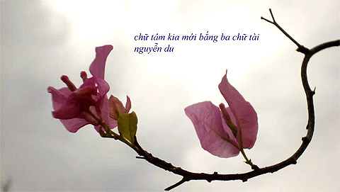 'Cái ghế' và chữ tâm