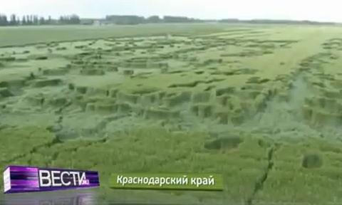 Bí ẩn hình lạ lại xuất hiện trên cánh đồng Nga