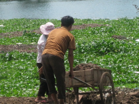 Lại đua nhau bóp chết “lá phổi” giữa Thủ đô