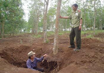 Quý bà bỏ chồng bỏ con vì mê cổ vật
