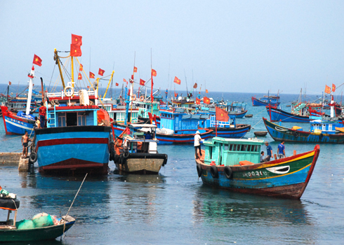 Độc giả phản hồi về ca khúc 