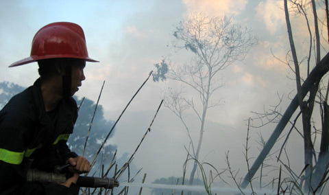 Cháy rừng liên tỉnh