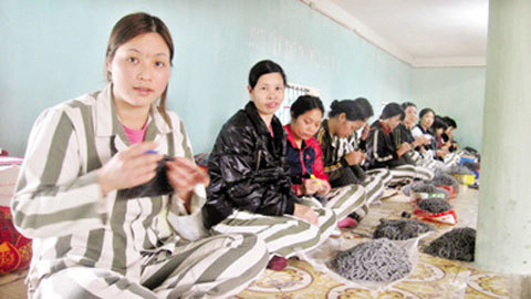 Cô sơn nữ và mối tình tội lỗi