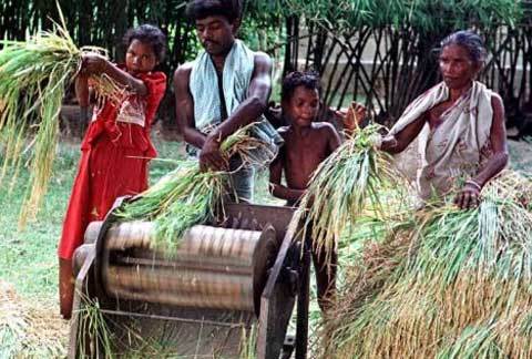 Em bé tự vẫn để tặng mắt, thận cho bố