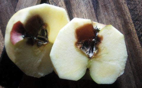 Chất lượng hàng Trung Quốc và nỗi ám ảnh...