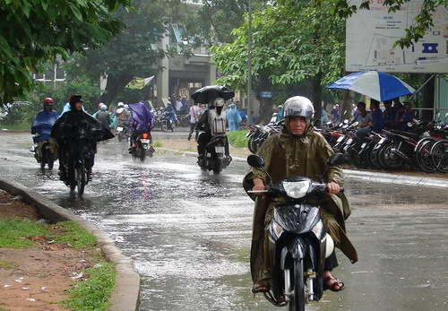 Đội mưa đến trường thi