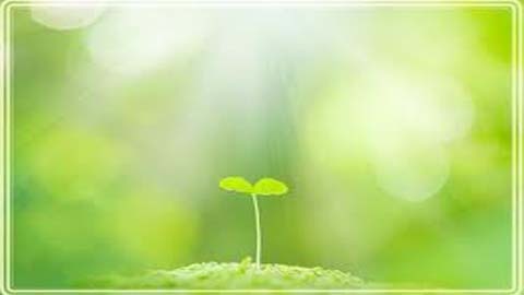 Khởi đầu tuần mới của bạn